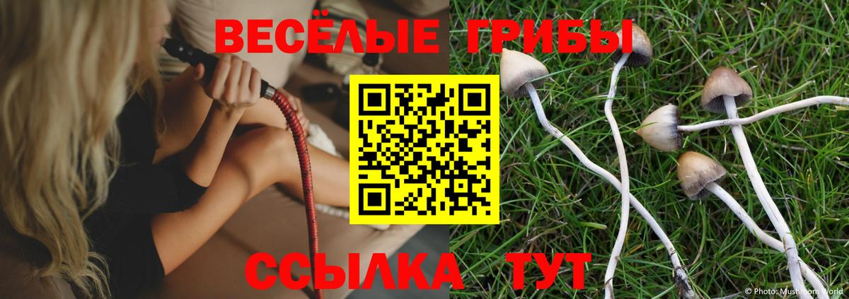 Псилоцибиновые грибы GOLDEN TEACHER  Вход с VPN  Спасск-Дальний 