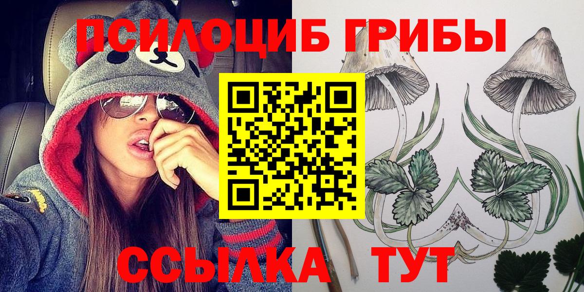 Галлюциногенные грибы Psilocybine cubensis Спасск-Дальний